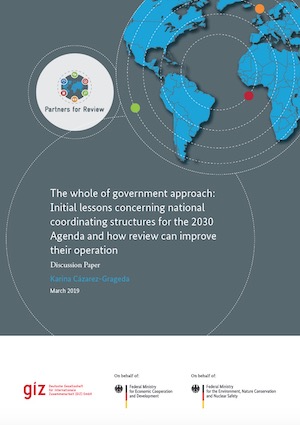 The Whole Of Government Approach: Initial Lessons Concerning National ...